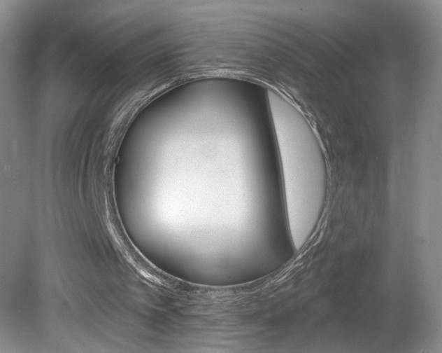 X0000080100097200612080940