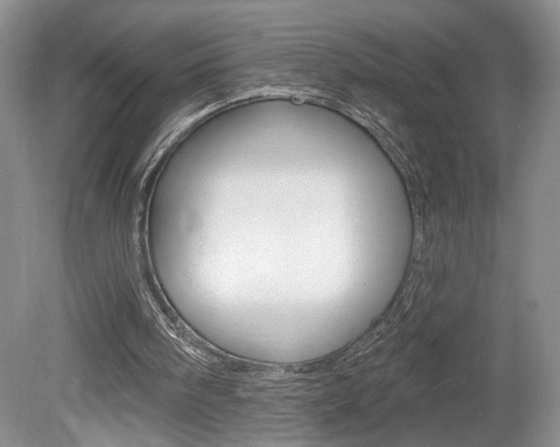 X0000080100098200612080940
