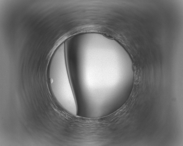 X0000080100099200612080940
