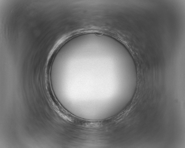 X0000080100102200612080940