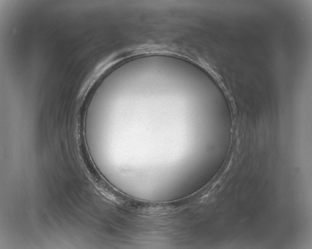 X0000080100103200612080940