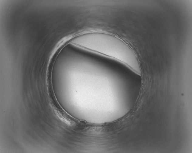 X0000080100104200612080940