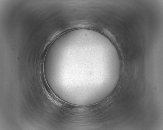 X0000080100106200612080939