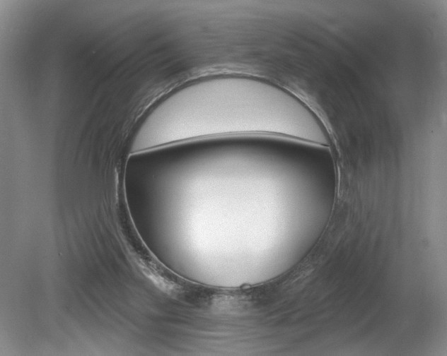 X0000080100109200612080939