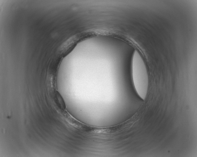 X0000080100117200612080939