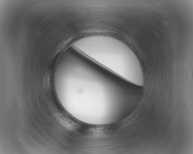 X0000080100120200612080939