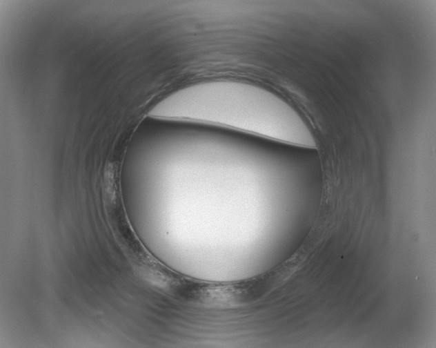 X0000080100121200612080939