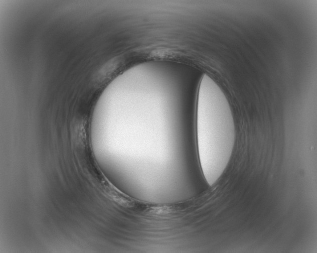 X0000080100127200612080939