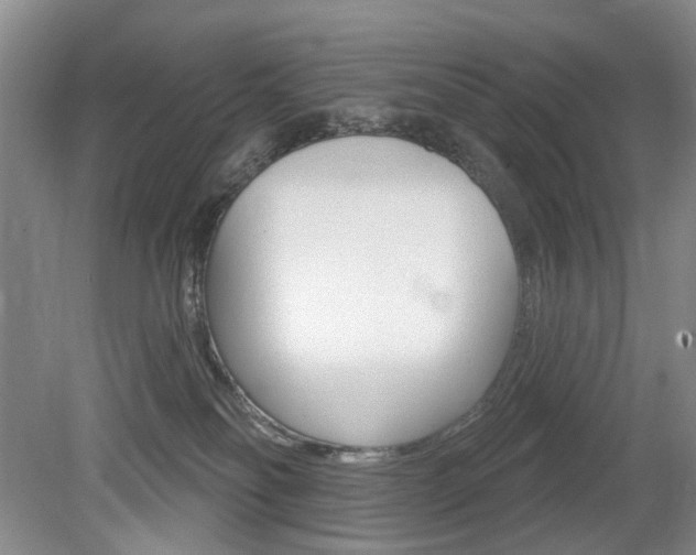 X0000080100134200612080939