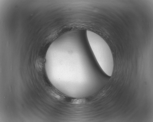 X0000080100135200612080939