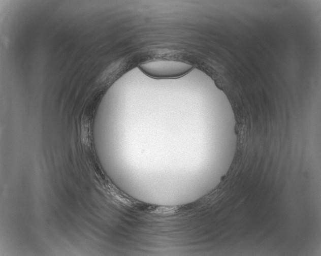 X0000080100138200612080939
