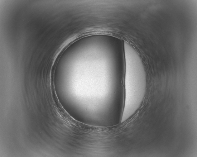 X0000080100148200612080938