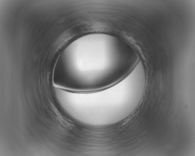 X0000080100154200612080938