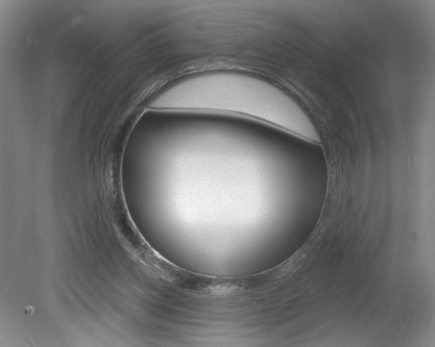 X0000080100158200612080938