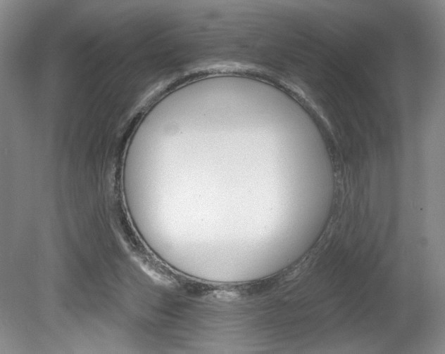 X0000080100159200612080938