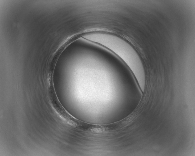 X0000080100160200612080938