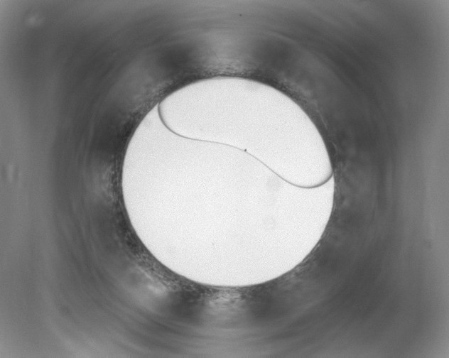 X0000080100162200612080938