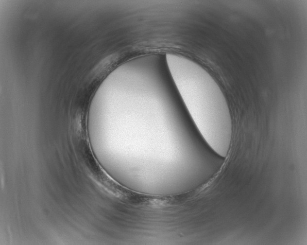 X0000080100166200612080938