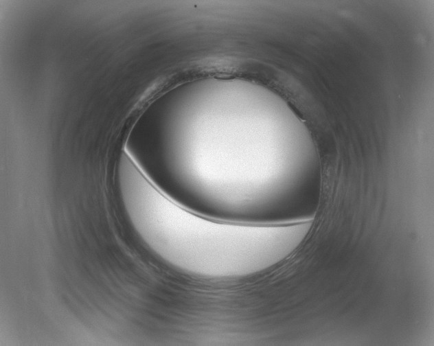 X0000080100168200612080938