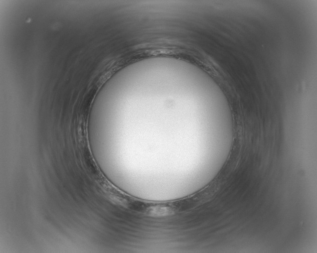 X0000080100169200612080938