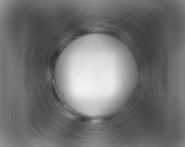 X0000080100173200612080939
