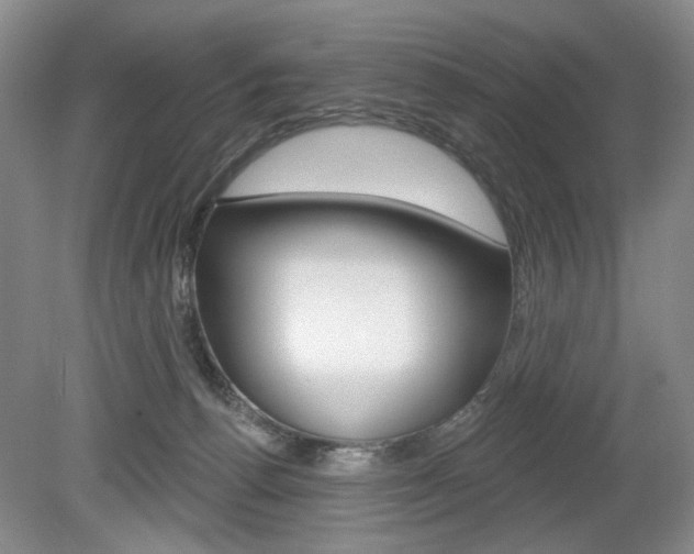 X0000080100176200612080939