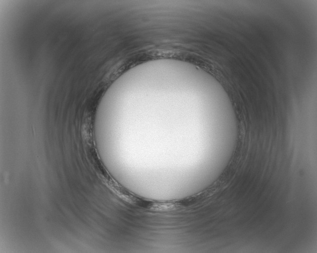 X0000080100181200612080939