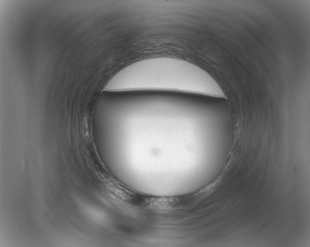 X0000080100182200612080939