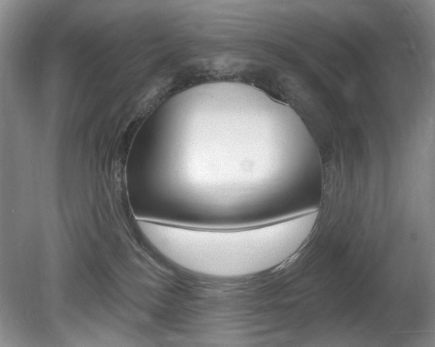 X0000080100184200612080939