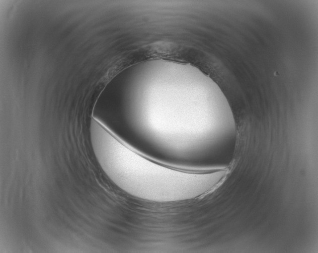 X0000080100186200612080939