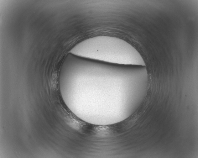 X0000080100189200612080939