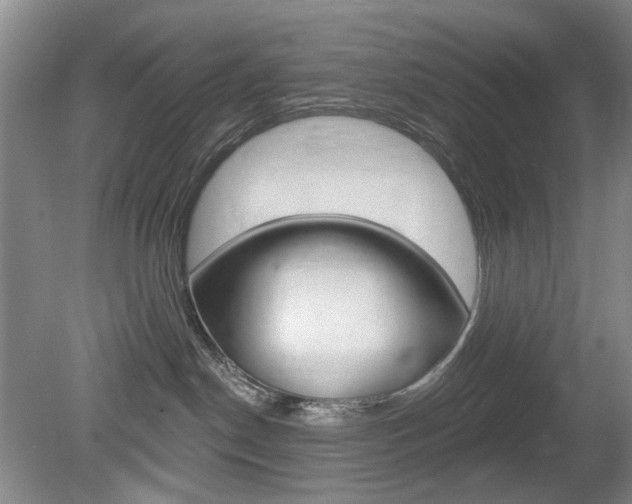X0000080100190200612080939