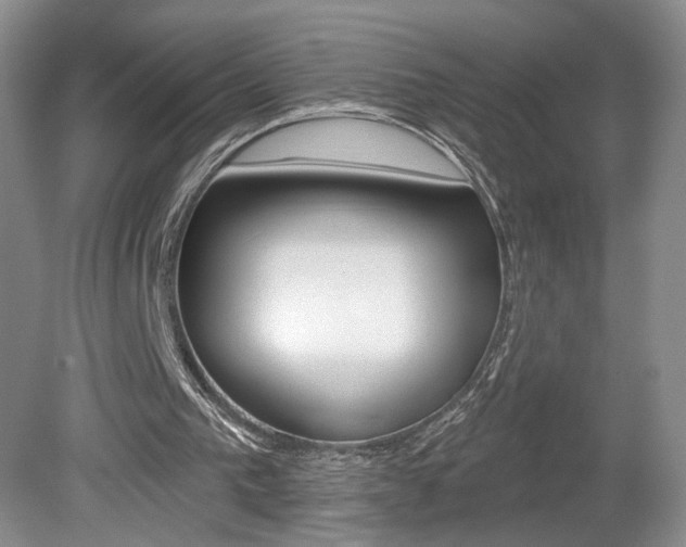 X0000080100193200612080938