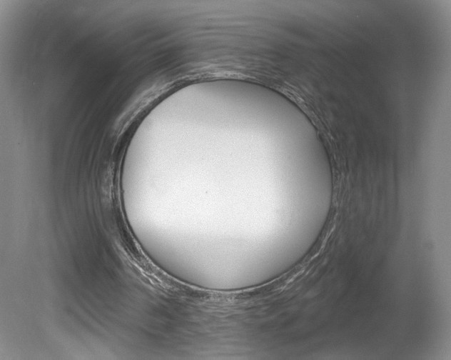 X0000080100194200612080938