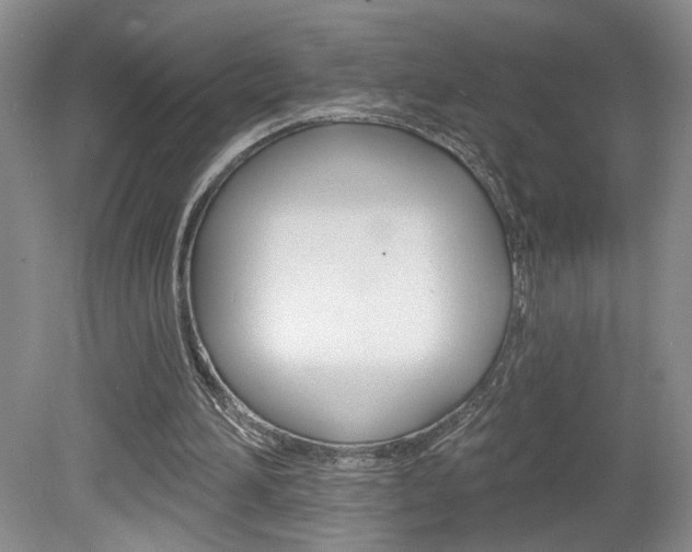 X0000080100196200612080938