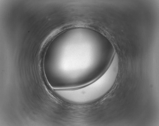 X0000080100197200612080938