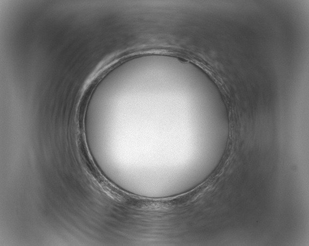 X0000080100198200612080938