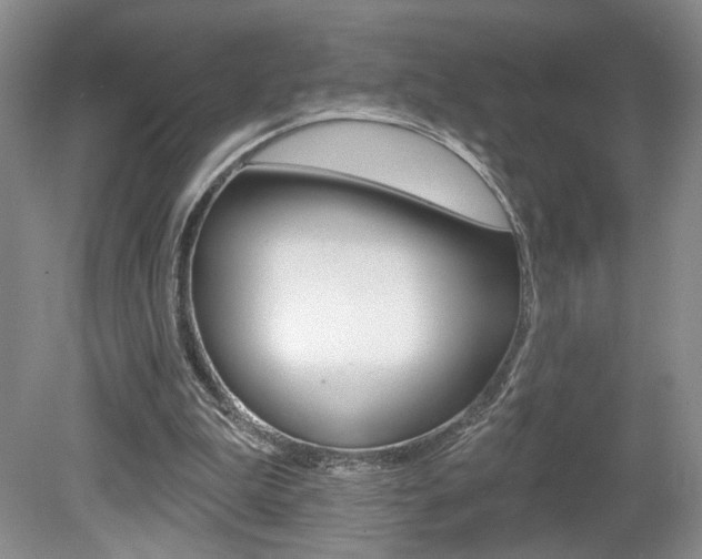 X0000080100199200612080938