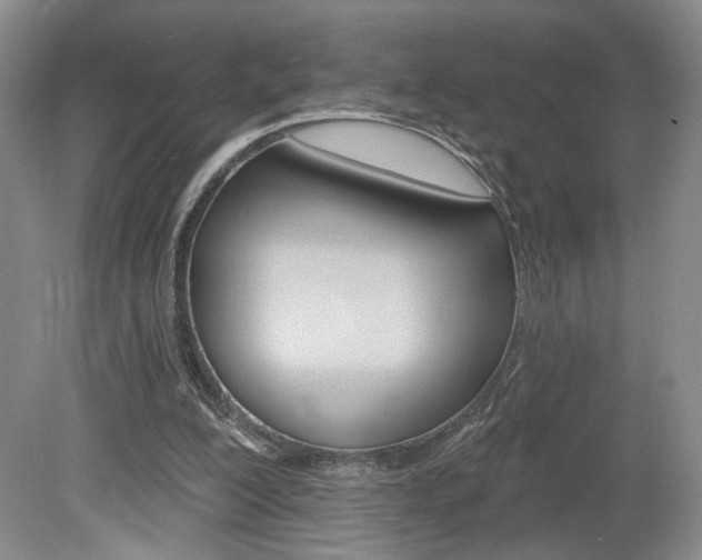 X0000080100200200612080938