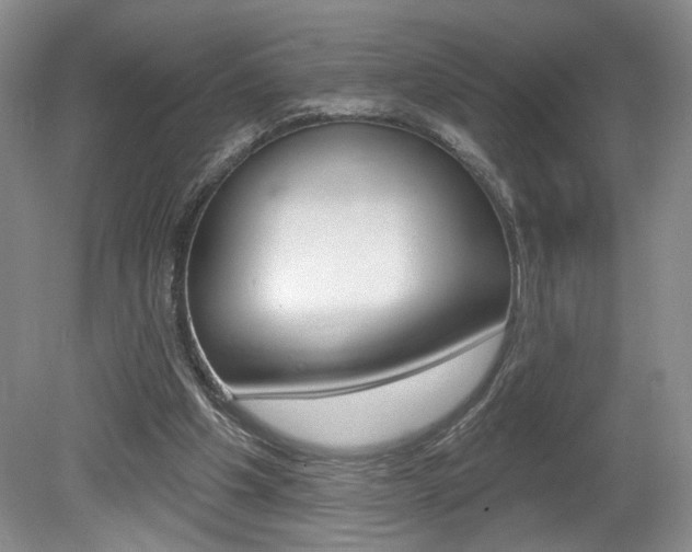 X0000080100201200612080938