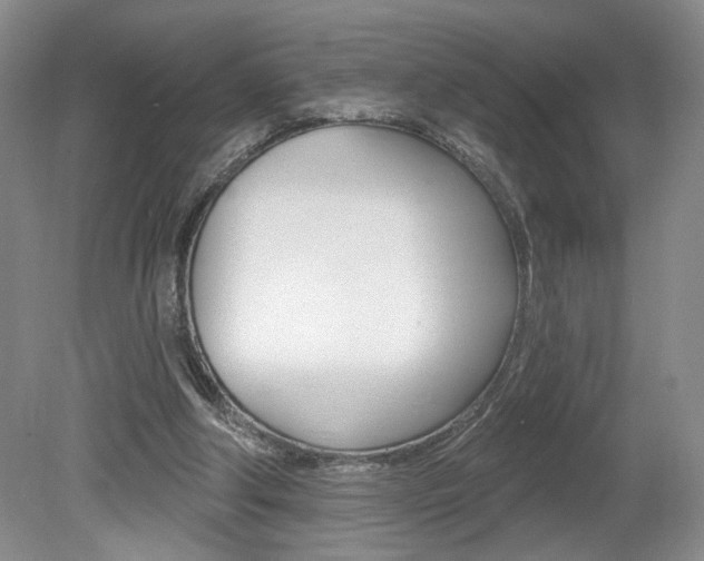 X0000080100202200612080938