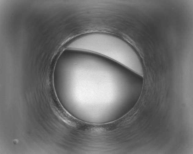 X0000080100203200612080938