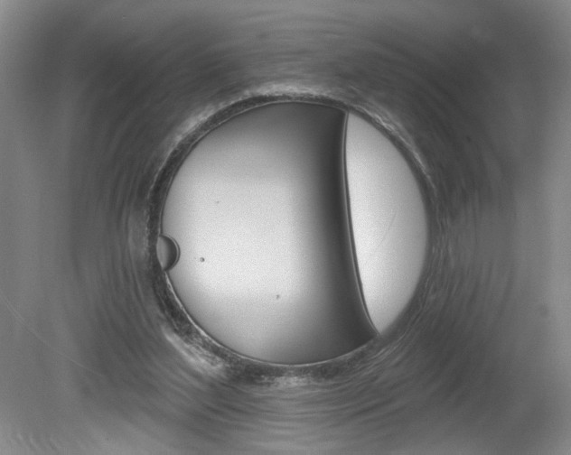 X0000080100204200612080938