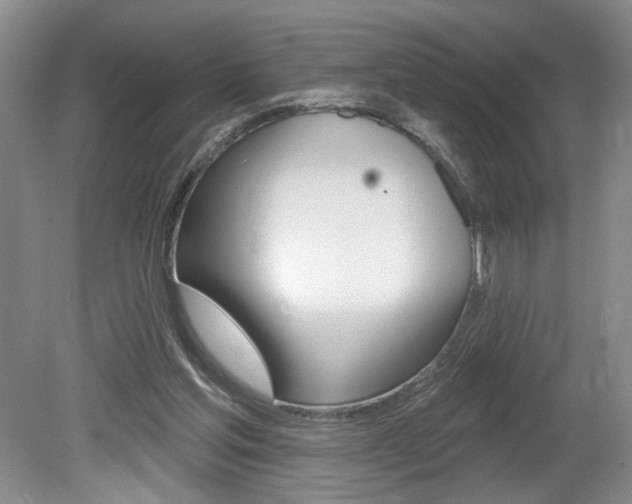 X0000080100205200612080938