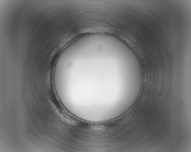 X0000080100206200612080938