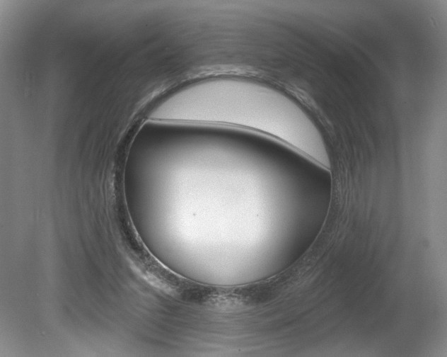 X0000080100207200612080938