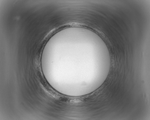 X0000080100208200612080938