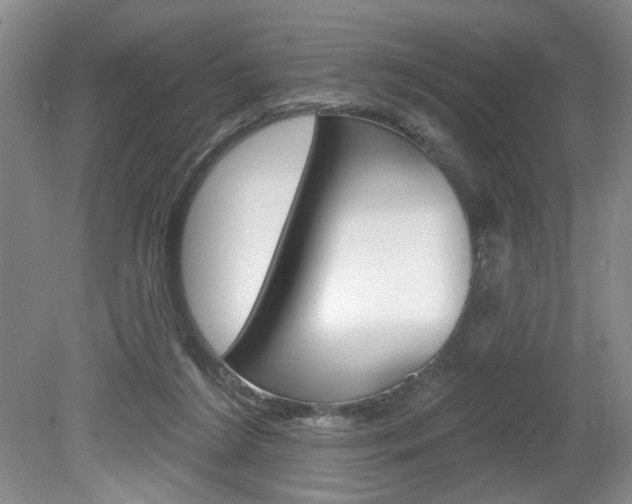 X0000080100212200612080938