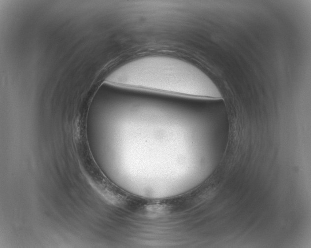 X0000080100216200612080938