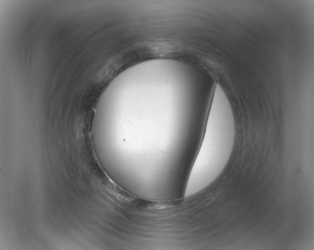 X0000080100221200612080938